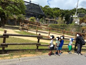 動物を見ながらワンダーミュージアムへ向かう様子